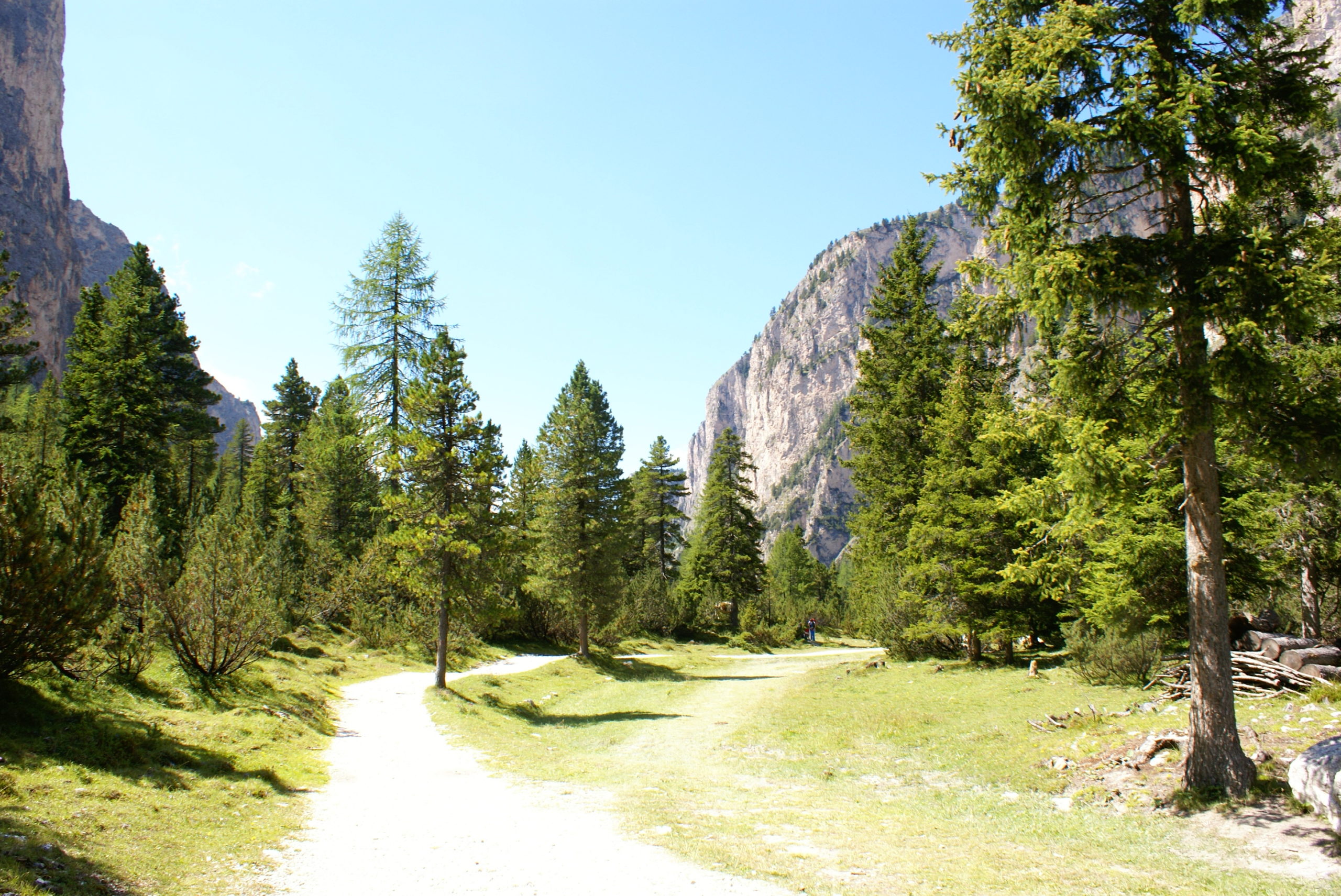 Pro essire dae s'inghìriu: arbèschida o incras? 