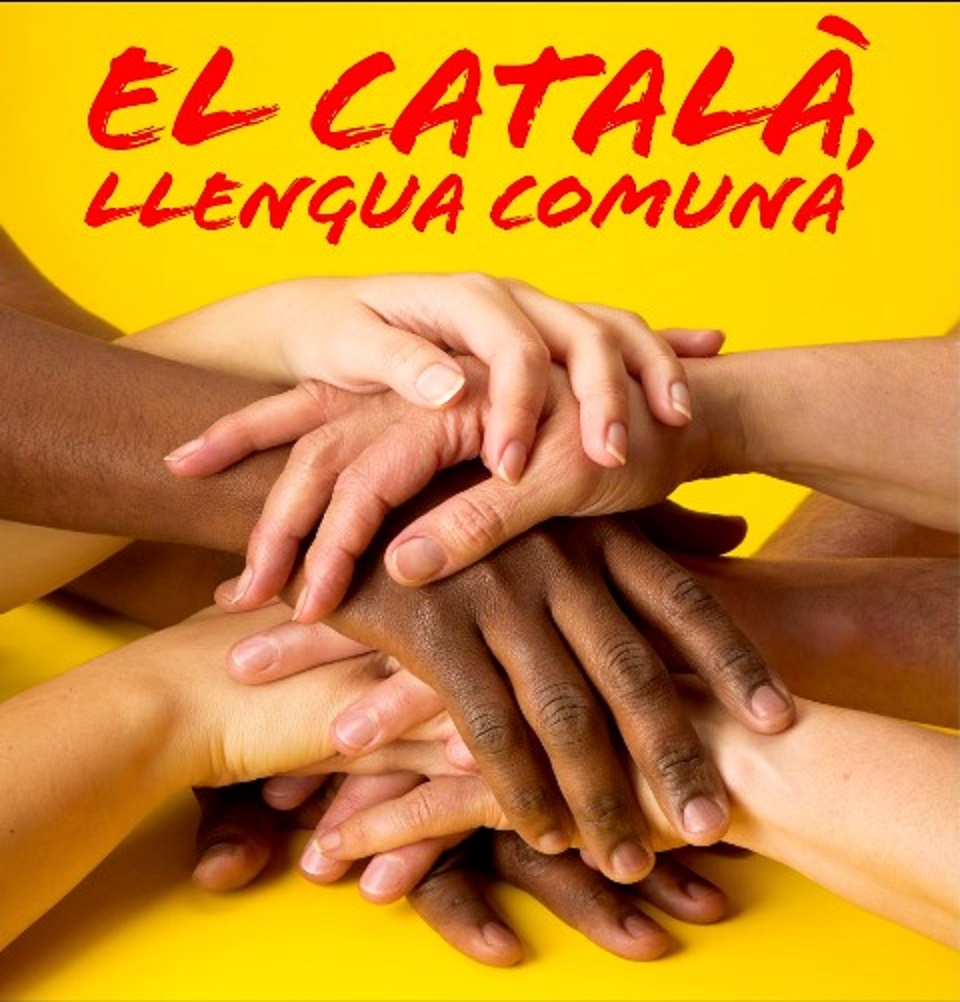 Sa Plataforma per la Llengua, assòtziu pro su catalanu ufitziale