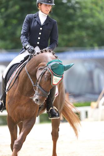 Dressage, resurtadu istòricu pro sa Sardigna