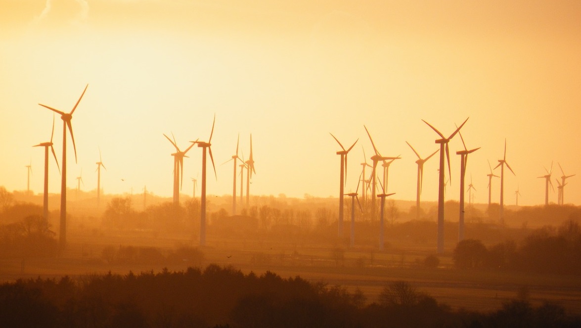 Cal'est su birde benidore de Sardigna?