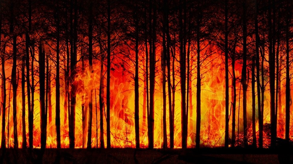 Fogos in totue