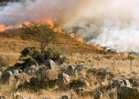 Sa Regione cundennada pro sa tecnologia contra a sos fogos istudada