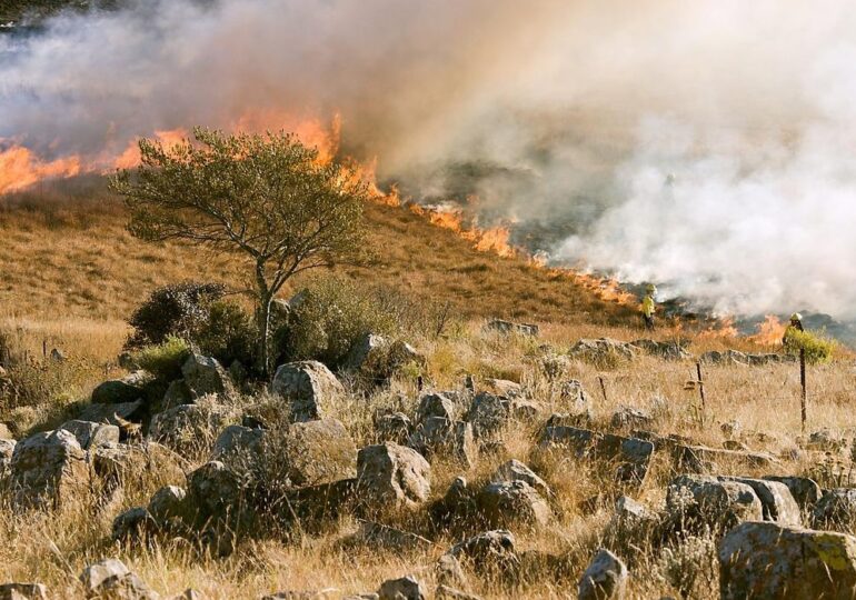 Sa Regione cundennada pro sa tecnologia contra a sos fogos istudada