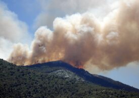 Fogos: 700 ètaros brusiados e dannos medas