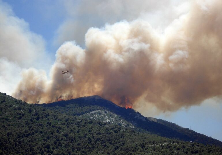 Fogos: 700 ètaros brusiados e dannos medas