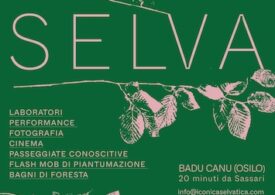 Selva, ambiente e cultura in Òsile