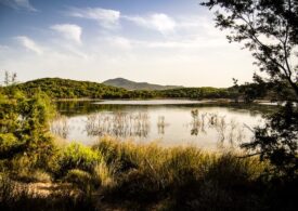 Baratz, educatzione ambientale in santugaine