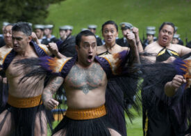 Sa limba maori in Google Translate