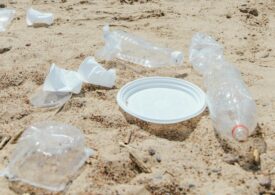 Casteddu e Cuartu paris pro su Poetu