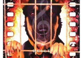 Mùsica pro sos animales abbandonados