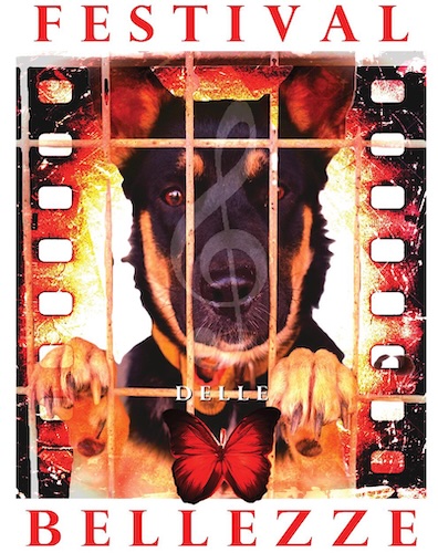 Mùsica pro sos animales abbandonados