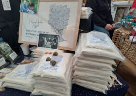 Seulu in sa fiera de sa castàngia de Còrsica