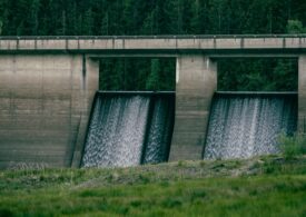 Sicagna in Sardigna, emergèntzia acabbada