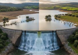 Abba in Sardigna, dae su nudda a su tropu