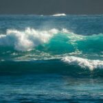 Otzèanos in perìgulu: benidore prenu de dudas pro su purmone blu de su pianeta