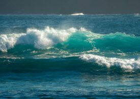 Otzèanos in perìgulu: benidore prenu de dudas pro su purmone blu de su pianeta