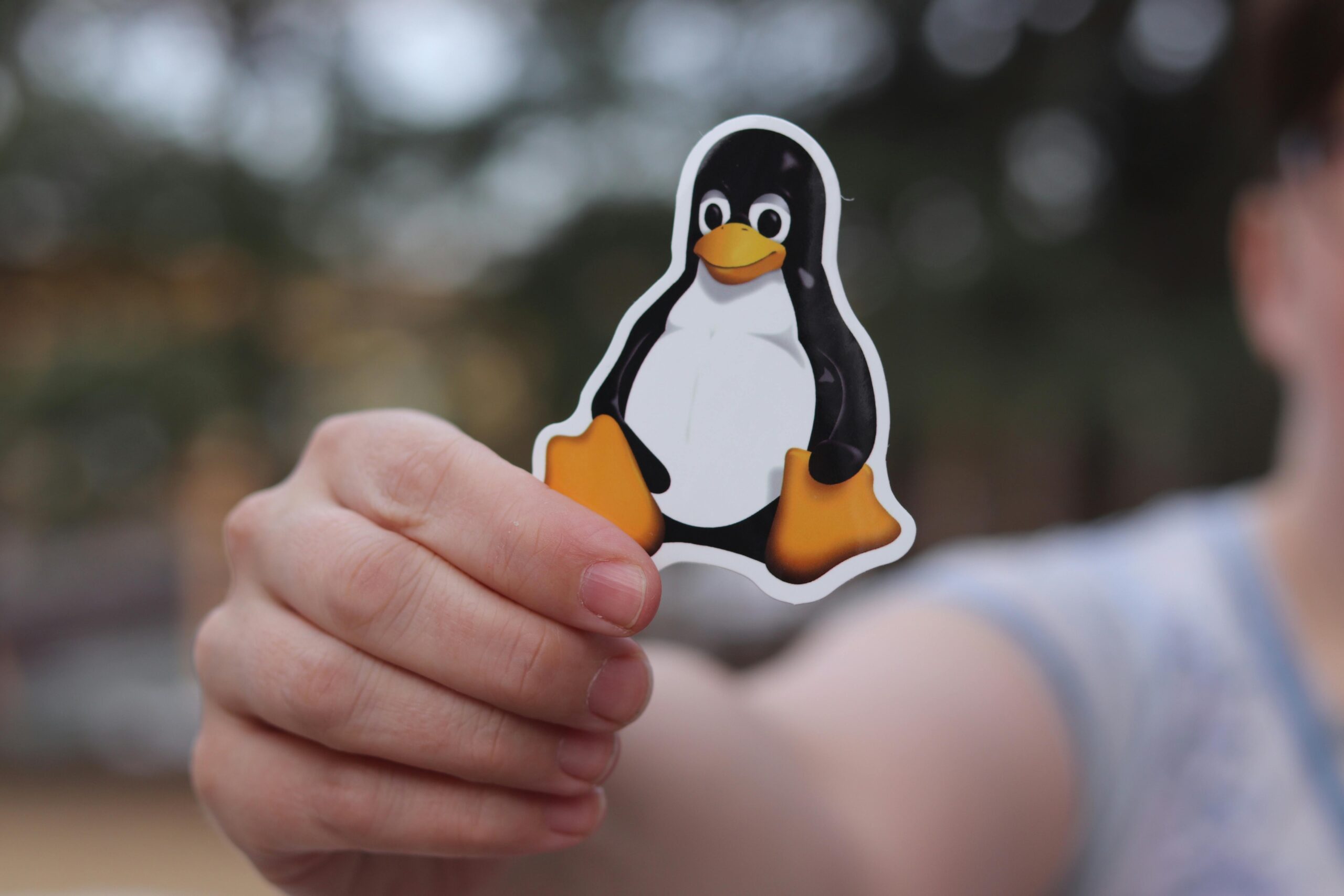 Linux e soberania digitale, sa Frantza cun su pee in s’atzeleradore