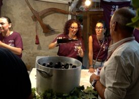 Calici di stelle, renèssida manna in Sènnaru